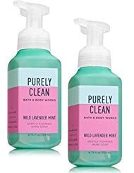 Bath & Body Works Purely Clean Gentle Foaming Hand Soap in Wild Lavender Mint (2 Pack)