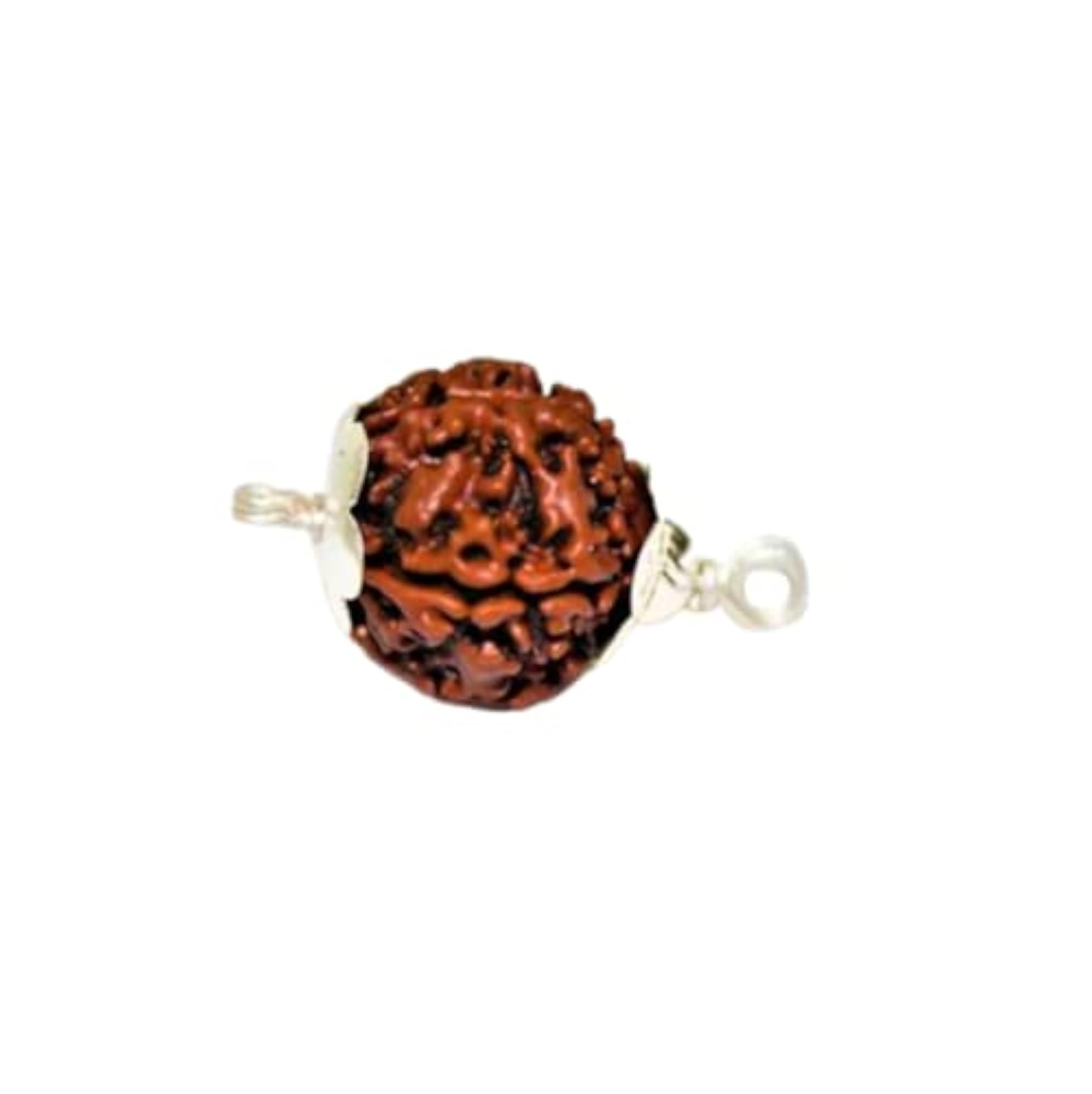 Authentic 5 Mukhi Rudraksha Loose Beads from Nepal