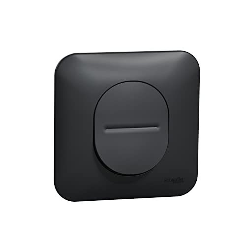 Schneider Electric - Ovalis - interrupteur va et vient - 10AX - avec griffes Avec plaque -Anthracite - S465204