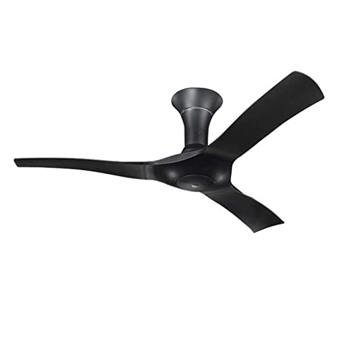 Hxqhxq 220V Fan Lamp With Remote Control Abs Wood Blades Attic Without Light Dining Room Decor 54 Inch Ceiling Fan Light (Color : E) #TOP25