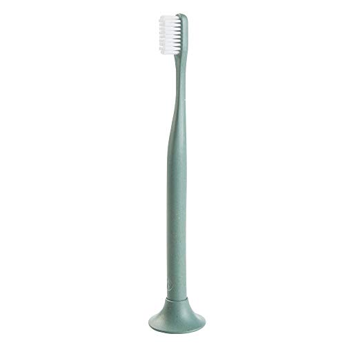 Bogobrush Compostable Toothbrush with Soft Nylon Bristles and Stand in Hemp Green