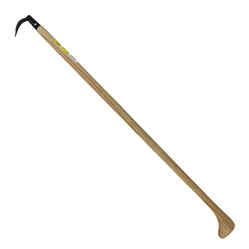 How many spade toothed whales are there
