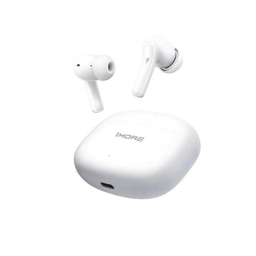 1MORE Q21 [�z���C�g]