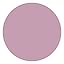 Orchid Purple