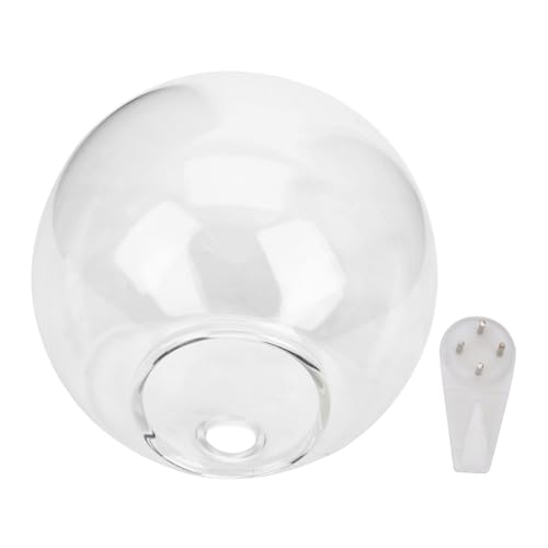 SHINEOFI Jarrón Colgante Hidropónico De Cristal Transparente 11,5x12 Cm para Decoración De Interiores Dormitorio Sala De Estar Oficina Soporte De Pared para Plantas y Micropaisajes