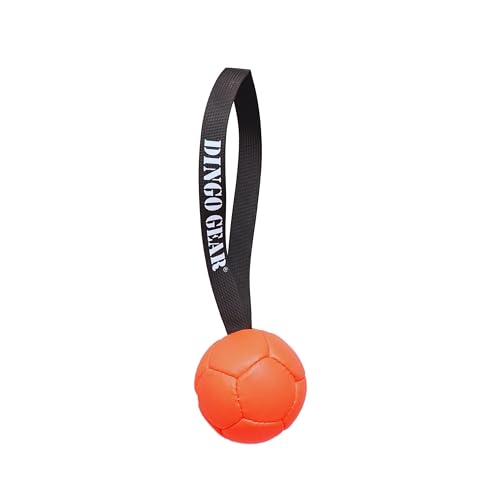 Dingo Gear Ball mit Schlaufe gefüllt vollball aus Eco Leder Durchmesser von 8 cm Hundespielzeug Trainings Ball Hundetraining Spaß für Hund Orange S02684