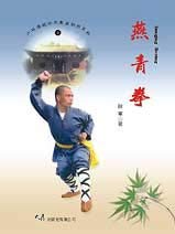 Paperback YanQing Boxing ???(????) [Traditional_Chinese] Book