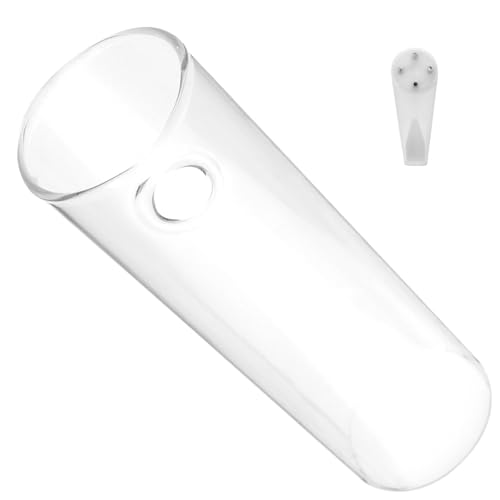 VALICLUD Vase Mural en Verre Cylindrique Transparent pour Plantes Hydroponiques Jardinière Suspendue Décorative pour Fleurs et Tillandsias Support Mural Fixation sans Trace pour