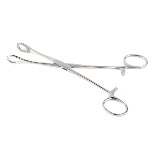 XeX|{fBsAXc[^gD[qjpCvNvsZbgOZv^vtFbVisAXc[XeX|یJNv^gD[ANZT[TvCsAXc[