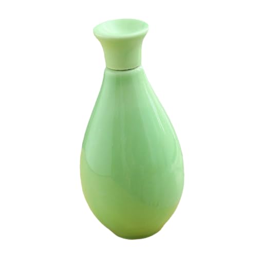 CLISPEED ミニ陶磁器茶葉缶 グリーン 薬用カプセル保管用 多目的調味料瓶 登山 キャンプ向けピルケース