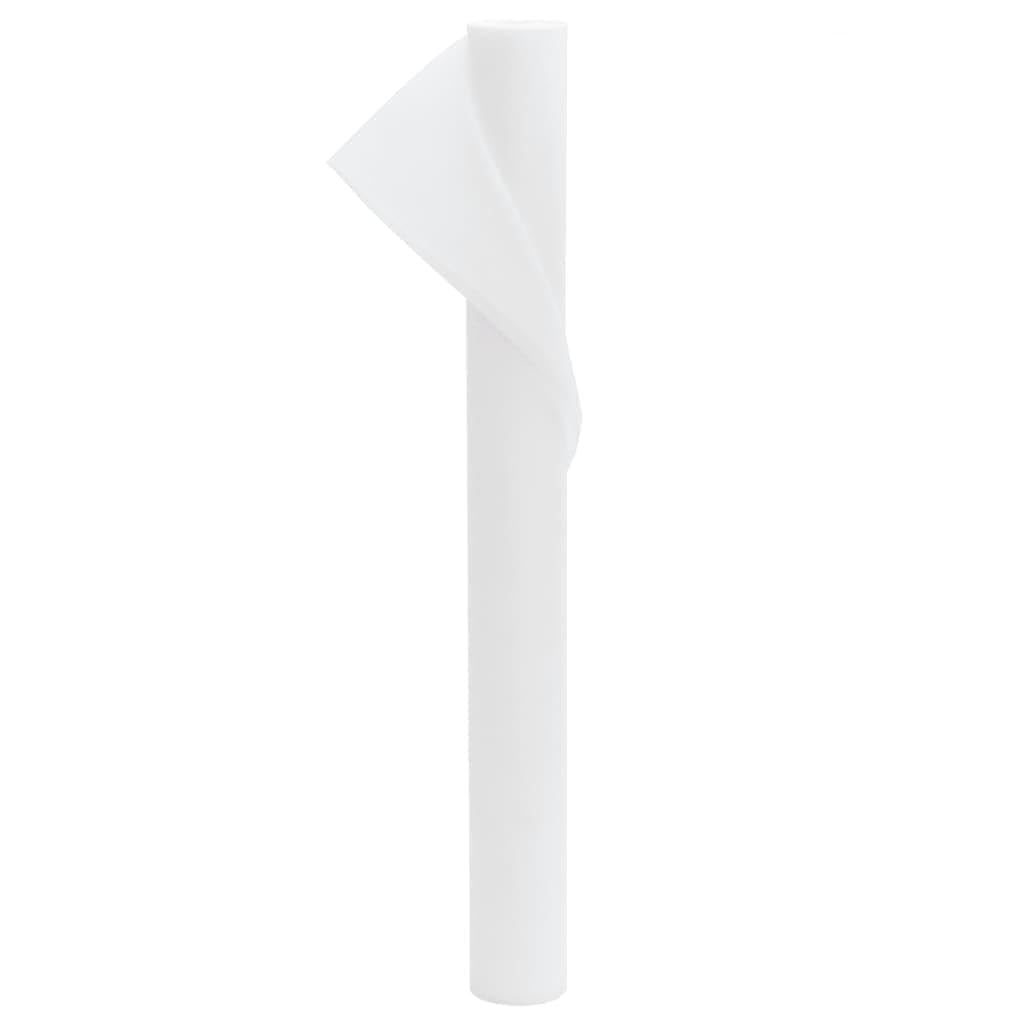 2 rotoli di tessuto non tessuto invernale da 70 g/m², 10 x 1,6 m, antigelo per piante, traspirante, antistrappo, per proteggere da freddo, neve e animali