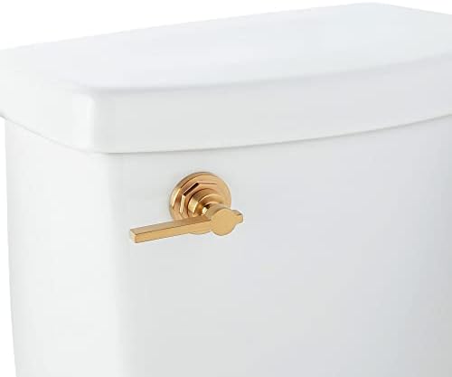 Signature Hardware 476953 Greyfield Left Mounted Toilet Tank Lever