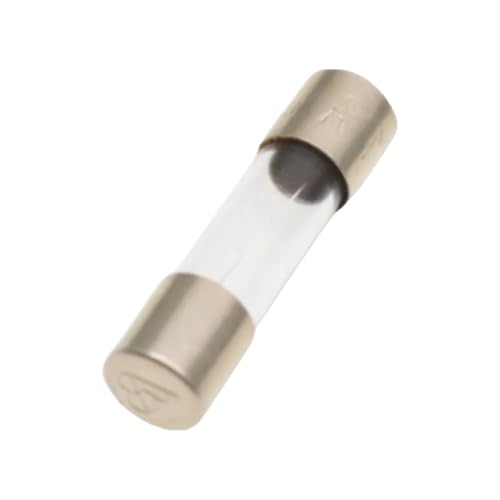Fusible 1A à action lente cartouche en verre pour protection de circuit électrique