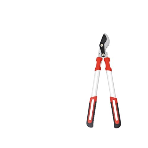 SIzlahoe}؂ } 68?103cm Yf|n  ΂ |΂ }؂΂ ̂  ؂؂ ؒfa60mm ʎ  C} |pi yʃA~ (50cm) [sAi]