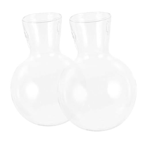 TOBBOMEY 2piezas Macetero De Transparente Accesorios para Jarrones De Terrario para Plantas De Terrario Florero para Bulbos para Decoración del Hogar Plantas Aéreas De Interior
