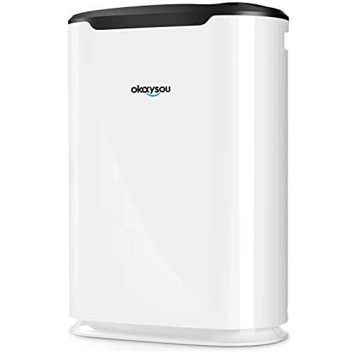 The 7 Best H13 HEPA Air Purifiers in 2021 (medicalgrade)