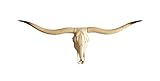 Bison Bull Skull Wall Decor Cow Skull Wall Decor Head LongHorn Sculptures Wall Plaque Art Crafts Orn