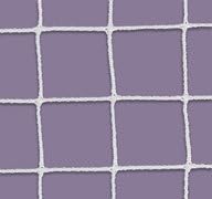 First Team FT605 Steel Economy Lacrosse Goal