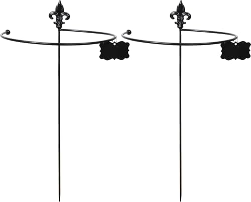 Tuteur à Plantes Rond en Acier Fleurs de lys (Lot de 2)