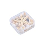 Daleweo Coquillage Decoration – Plus De 35 Pièces Naturelles Avec Étoile De Mer, Coquillages Pour Loisirs Créatifs, Décoration Maritime Pour Remplissage De Vases