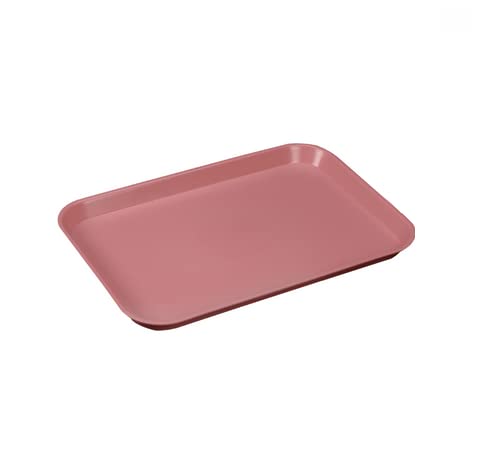 3 Pcs Dental Flat Tray Size B Autoclavable 250F Medical Procedure Instrument Set Up Flat Tray Size B - Coral