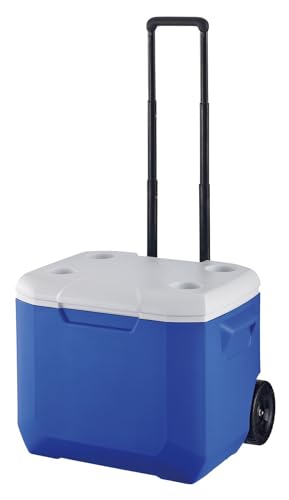 N[[ zC[N[[/60QT [sAi]