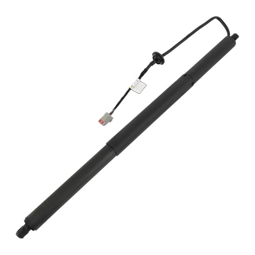 Coffre bloqué ? Amortisseur 600661000B, support levage électrique hayon Tesla Model S