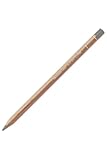 Caran D'ache Luminance 6901 Lightfast Pencil No. 504 - Payne's Grey 30% (6901.504)