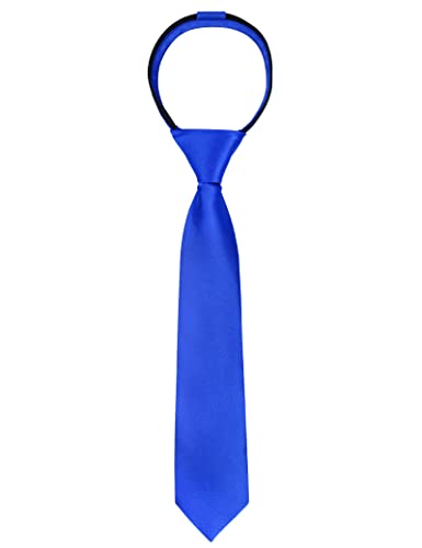 Alizeal Boys Solid Color Pre-Tied 2.4'' Zipper Skinny Necktie, Royal Blue #TOP20