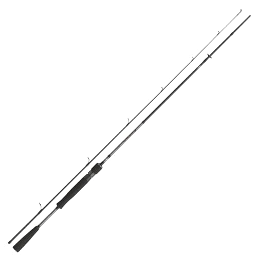 DAIWA Fuego Predator Spin 2 40m 10-40g 2 Teile Schnell Raubfisch Angelrute 11124-240