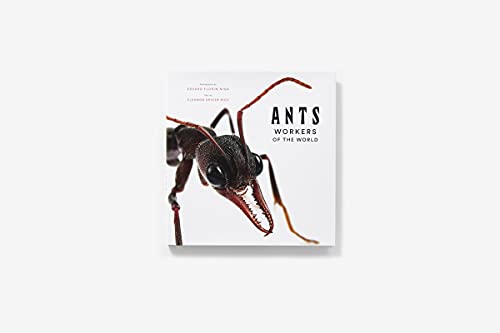 Ants: Workers Of The World #TOP1
