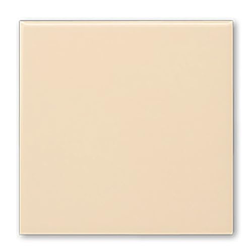 ^C 100p 펿  P10-553y5Pʔ̔z