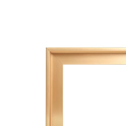 Image of Canvas Floater Frames for Canvas Art 0.8inch Depth Frames for Canvas Painting Floating Frame Plastic Floater Frame for Canvas Prints (Gold, 12 x 16 inch)