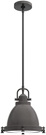 Hunter Fan Company 19106 Bridgemoor Pendant, Noble Bronze