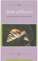 Shells of Hawaii