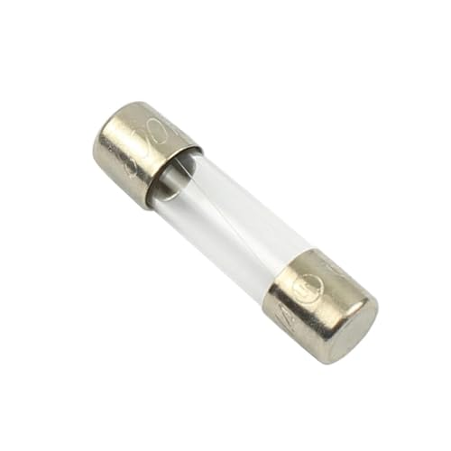 Fusible à tube de verre F 800 mA 250V GMA à action rapide 5x20mm pour petits appareils