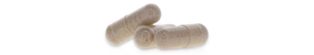 GINKGO BILOBA * 60 mg / 120 capsule * Titolato al 24% min. di flavoni glicosidi e al 6% min. di lattoni terpenici