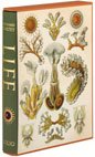 Life an Unauthorised Biography [Unknown] B001JAY8B2 Book Cover