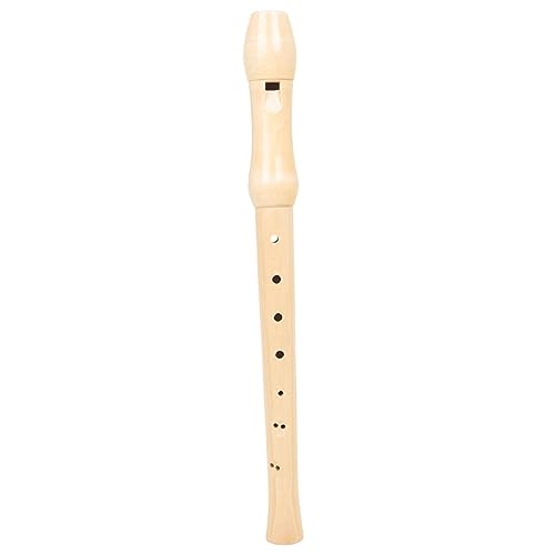 GALPADA Soprano Recorder for Beginner Recorder Instrument for Music Lessons Durable Easy to Clean present for Students