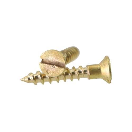 Tornillos autorroscantes de latón M2 x 12mm, 25 unidades miniatura 5