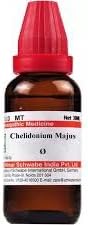 Chelidonium Majus Q Mother Tincture (30ml) || W.S.I