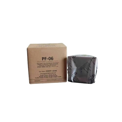 Cabezal PF-06 compatible con impresoras TX3000 TM300 y TA20