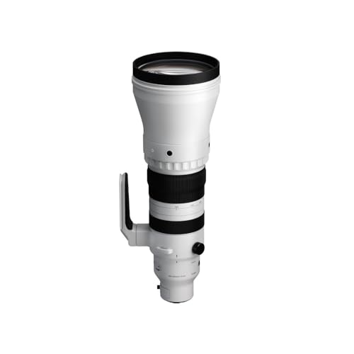 Image of 300-600mm F4 DG OS | Sports