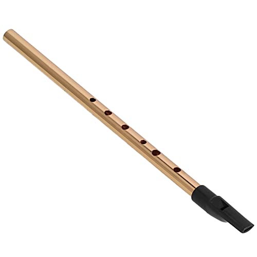 D Key Tin Whistle, Exquisite Verarbeitung Irish Whistle Praktische genaue Tonhöhe für Erwachsene Cover