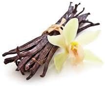 French Vanilla Fragrance Oil 4 oz Bottle Premium Grade for Candle and Soap Making by Midway Mercantile