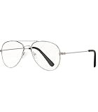 Caripe Herren Damen Lesebrille Retro Nerd Vintage Pilotenbrille Metall Lesehilfe M276 (Silber, 2.5, diopters), Einheitsgröße