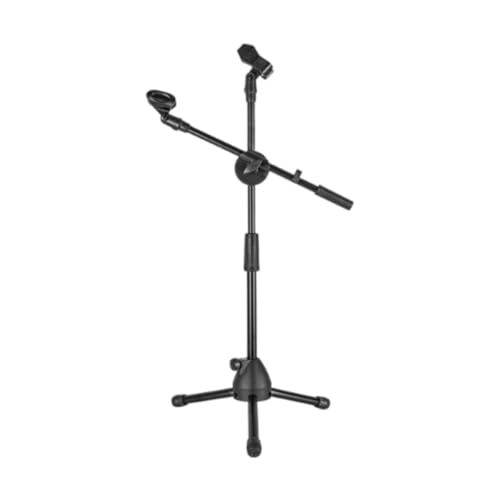 TISHITA Or}CNX^h \ 40`72cm qpptH[}X
