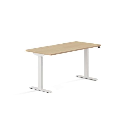 Branch Duo Adjustable Standing Desk, 20-inch Range
