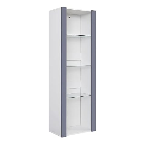 LED Display Cabinet with Glass Shelves Cover