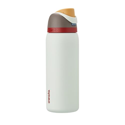 Owala FreeSip Insulated Stainless Steel Water Bottle with Straw, BPA-Free Sports Water Bottle, Great for Travel, 32 Oz, Boneyard